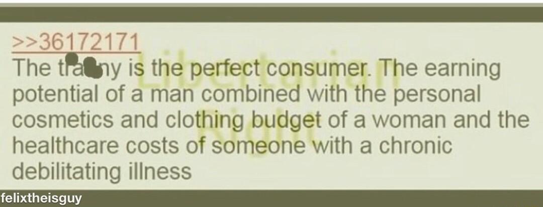 6172171 The tiy is the perfect consumer The earning potential of a man combined with the personal cosmetics and clothing budget of a woman and the healthcare costs of someone with a chronic debilitating illness 1 e