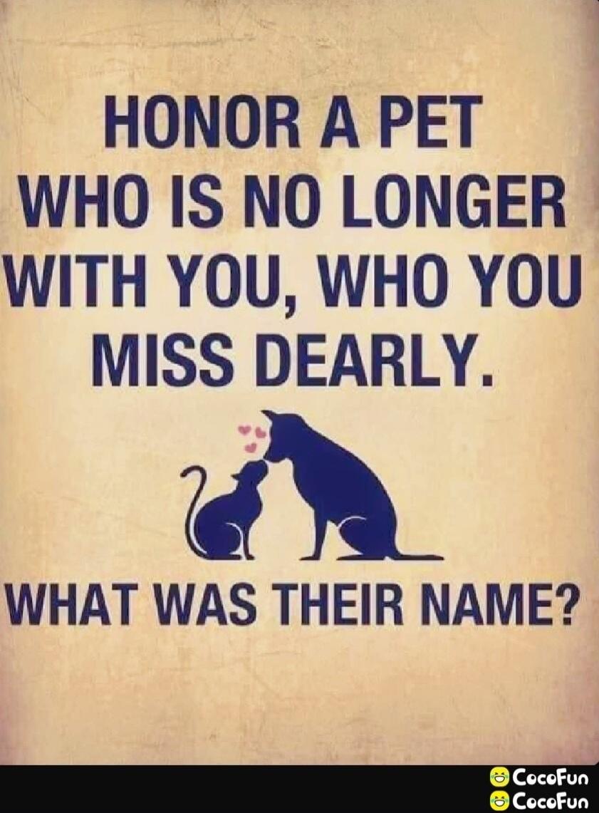 HONOR A PET WHO IS NO LONGER WITH YOU, WHO YOU MISS DEARLY. WHAT WAS THEIR NAME?