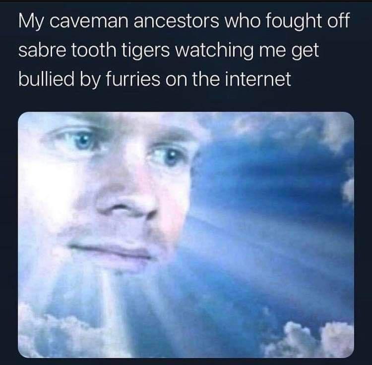 My caveman ancestors who fought off sabre tooth tigers watching me get bullied by furries on the internet