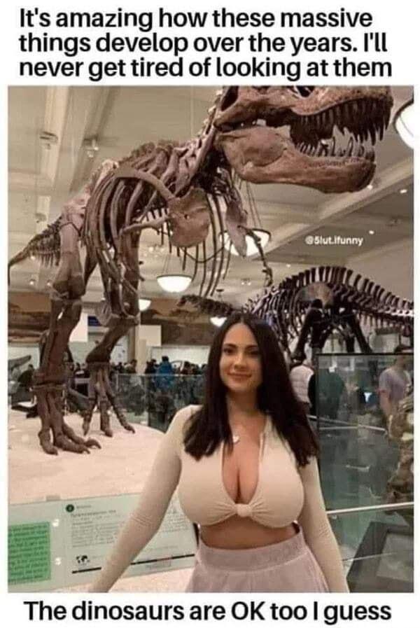 Its amazing how these massive things develop over the years Ill never get tired of looking at them L S Bl v AN U The dinosaurs are OK too guess