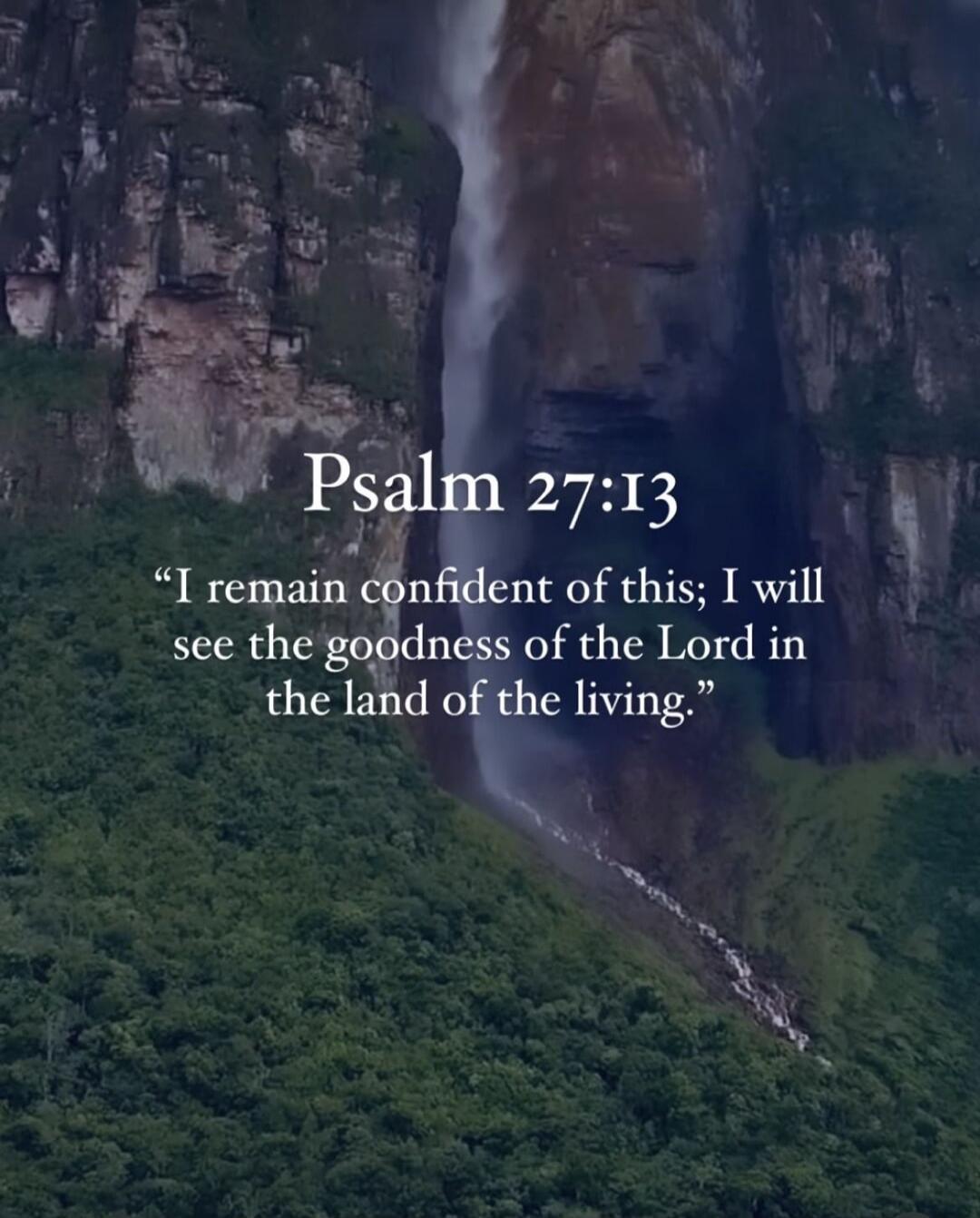 Psalm 27:13 “I remain confident of this; I will see the goodness of the Lord in the land of the living.”