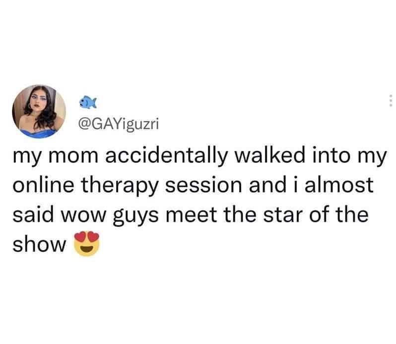 L GAYiguzri my mom accidentally walked into my online therapy session and i almost said wow guys meet the star of the show