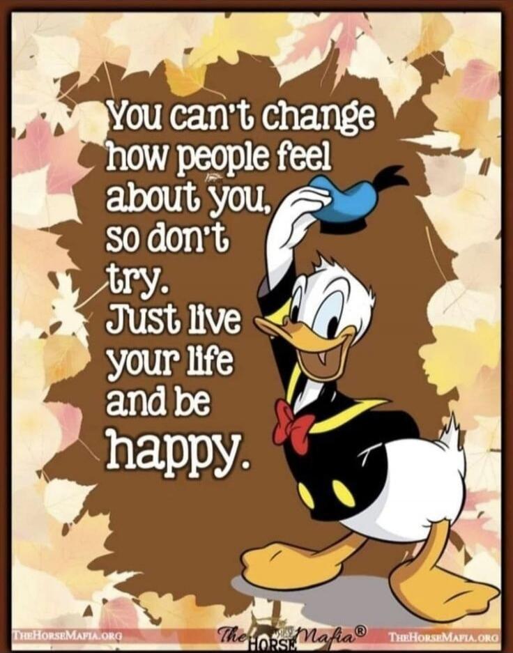 You can't change how people feel about you, so don't try. Just live your life and be happy.
