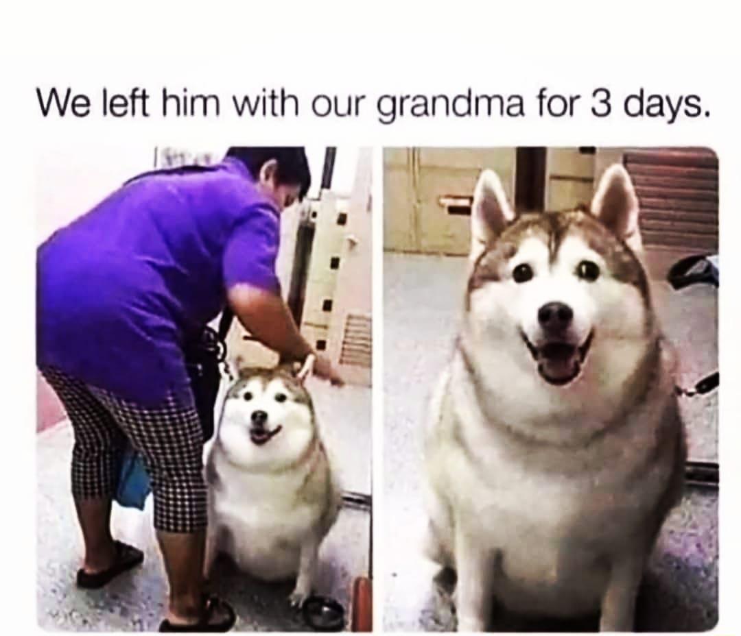We left him with our grandma for 3 days