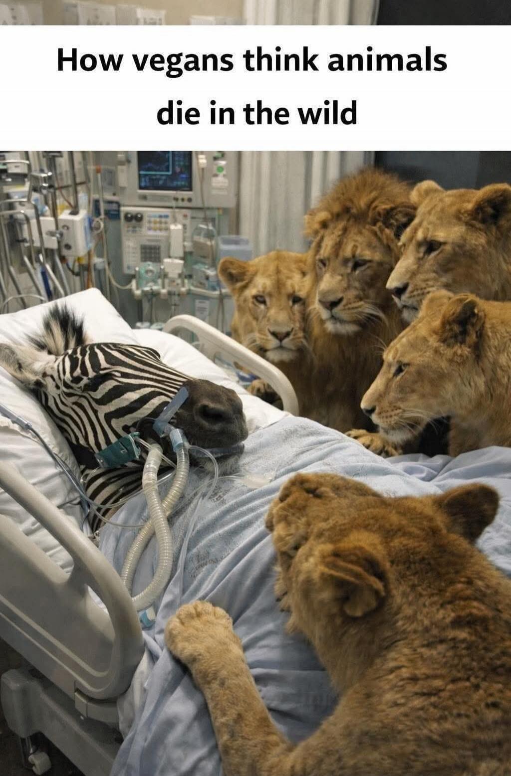 How vegans think animals die in the wild