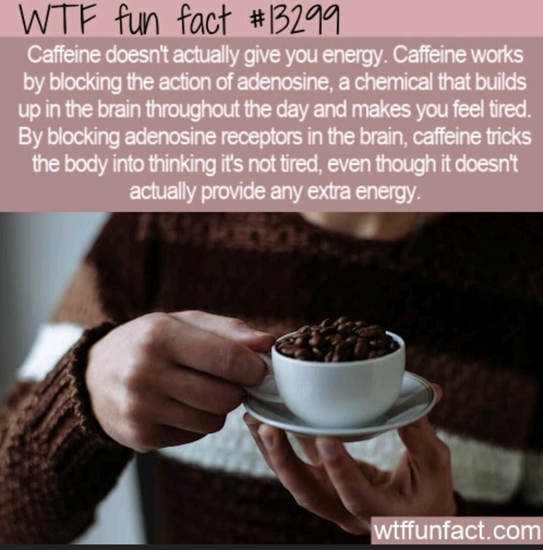 WTF fun fact 3291