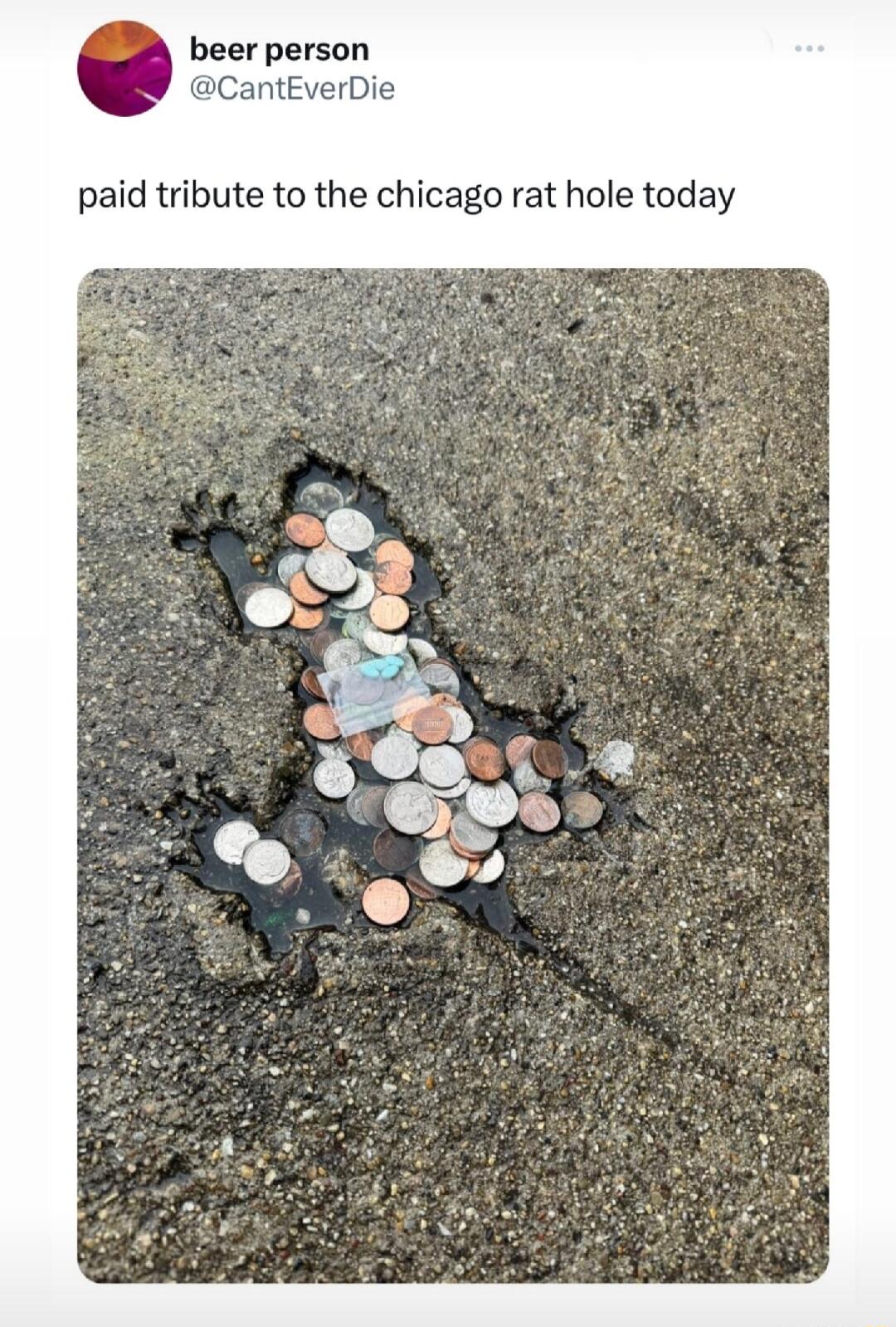 CantEverDie paid tribute to the chicago rat hole today