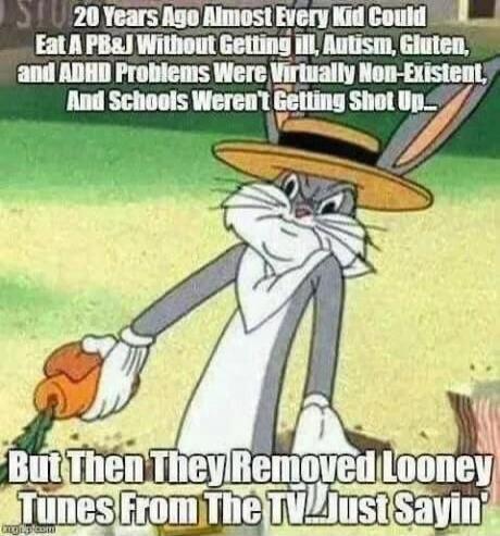 20 Years Ago Almost Every Kid Could Eat A PB&J Without Getting Ill, Autism, Gluten, and ADHD Problems Were Virtually Non-Existent, And Schools Weren't Getting Shot Up... But Then They Removed Looney Tunes From The TV! Just Sayin'