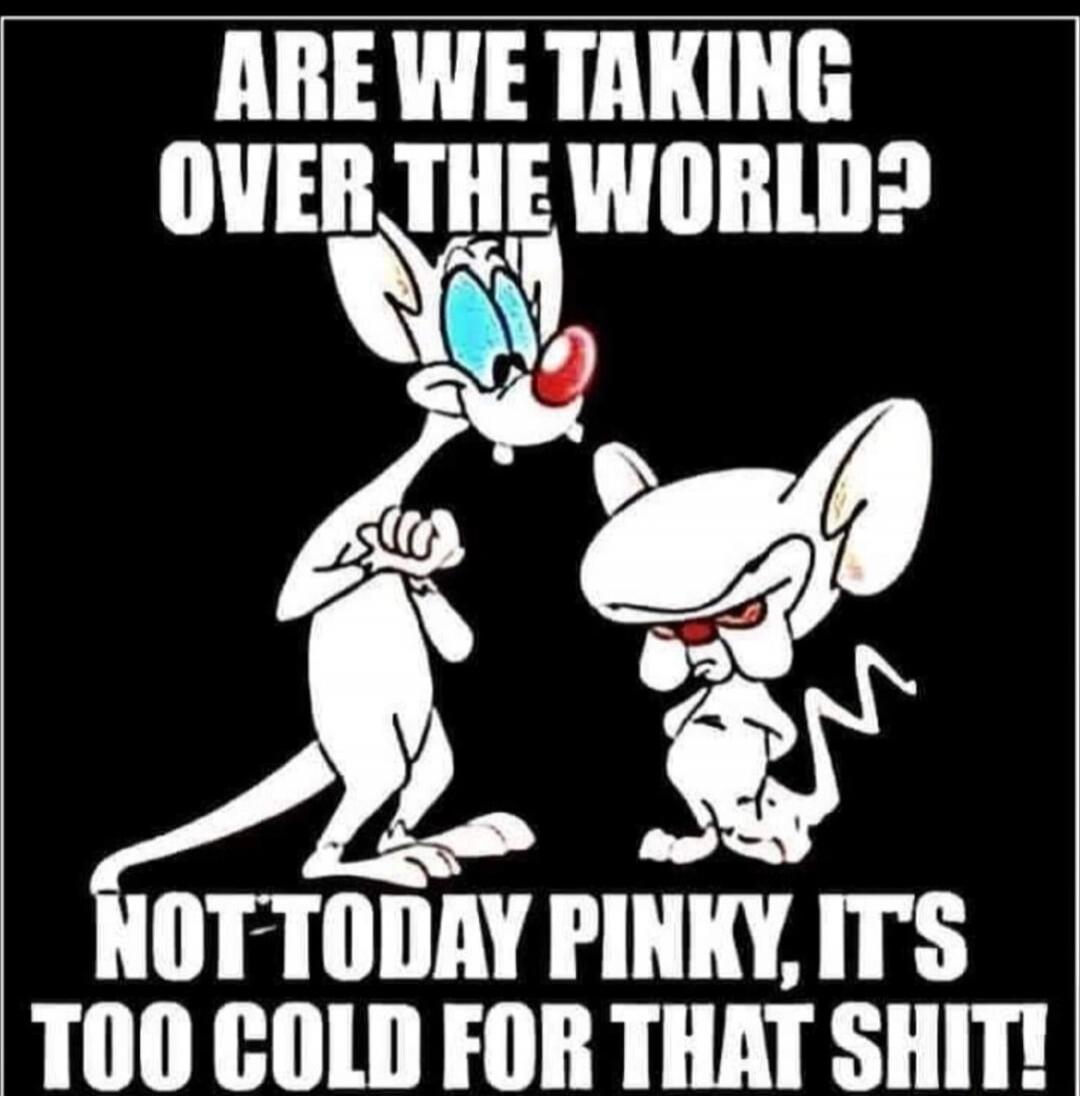 ARE WE TAKING OVER THE WORLD? NOT TODAY PINKY, IT'S TOO COLD FOR THAT SHIT!