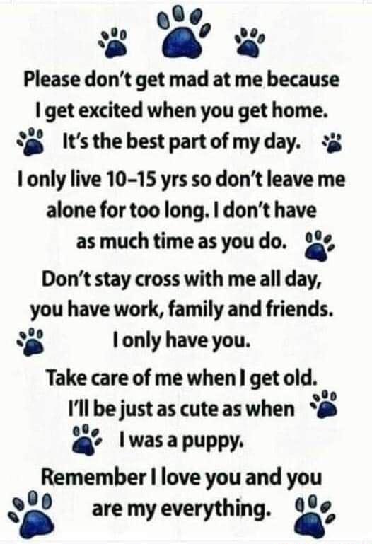 Please dont get mad at me because 1 get excited when you get home 3 Itsthebestpartofmyday 3 1 only live 10 15 yrs so dont leave me alone for too long dont have as much time as you do a Dont stay cross with me all day you have work family and friends B lonly have you Take care of me when get old 2 Ill be just as cute aswhen 0le wasapuppy Remember love you and you 3 are my everything 9