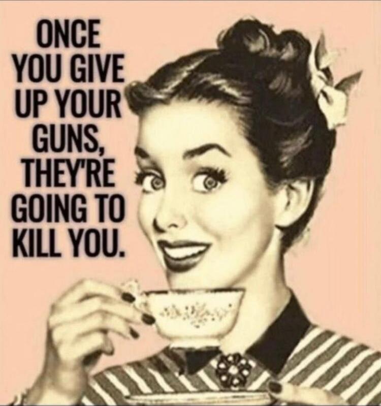 ONCE YOU GIVE UP YOUR GUNS, THEY'RE GOING TO KILL YOU.