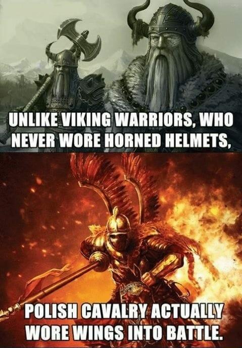 Hlllll vnluavmnnlons WHO IIIVEII Vlllll IIIIIIIII HELMETS 28 llIlISIl llllIIY llTlllllY WOREWINGS IIITII BIIIlI