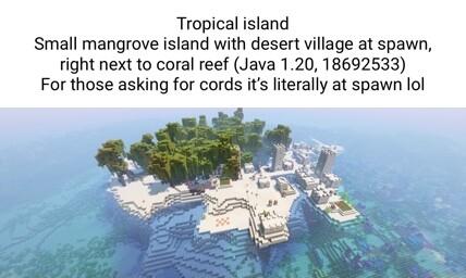 Tropical island Small mangrove island with desert village at spawn right next to coral reef Java 120 18692533 For those asking for cords its literally at spawn lol