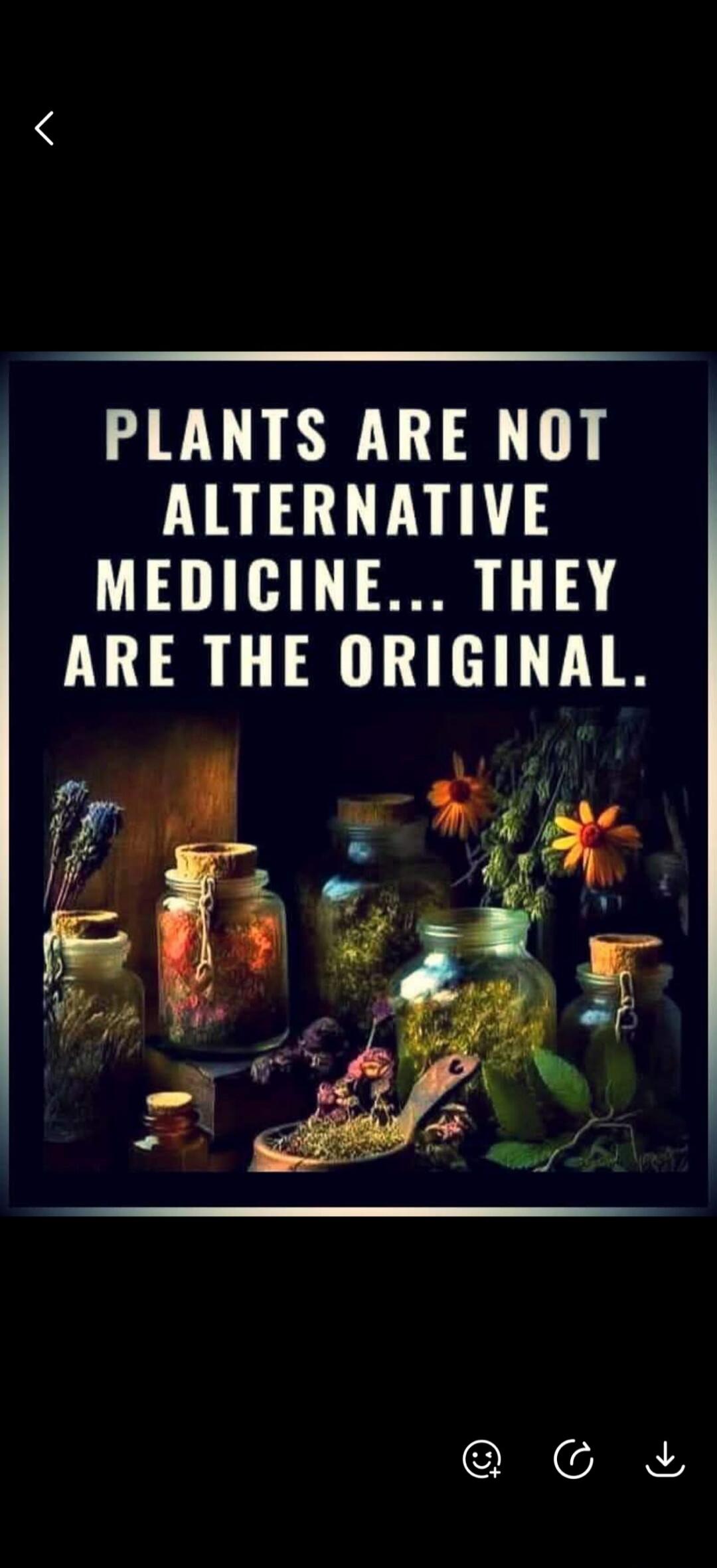 PLANTS ARE NOT ALTERNATIVE MEDICINE... THEY ARE THE ORIGINAL.