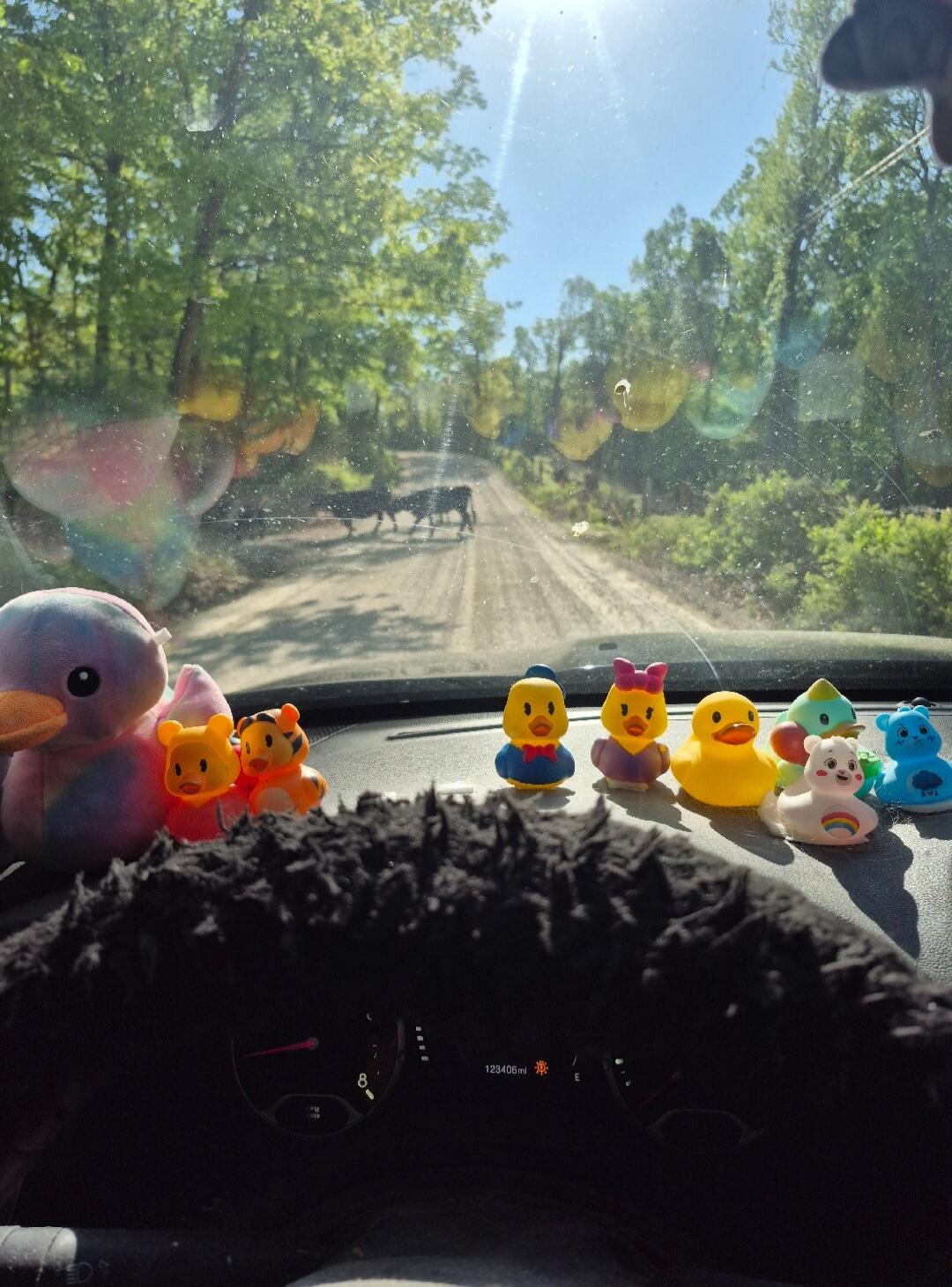 123406mi. A car dashboard with various toys, including rubber ducks and plush characters. Through the windshield, a dirt road with trees on the sides and several cows crossing in the distance under a bright sky.