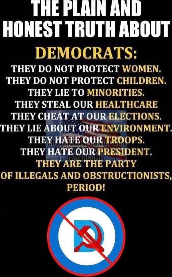THE PLAIN AND HONEST TRUTH ABOUT DEMOCRATS: THEY DO NOT PROTECT WOMEN. THEY DO NOT PROTECT CHILDREN. THEY LIE TO MINORITIES. THEY STEAL OUR HEALTHCARE. THEY CHEAT AT OUR ELECTIONS. THEY LIE ABOUT OUR ENVIRONMENT. THEY HATE OUR TROOPS. THEY HATE OUR PRESIDENT. THEY ARE THE PARTY OF ILLEGALS AND OBSTRUCTIONISTS, PERIOD!