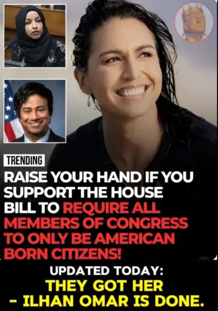 TRENDING. RAISE YOUR HAND IF YOU SUPPORT THE HOUSE BILL TO REQUIRE ALL MEMBERS OF CONGRESS TO ONLY BE AMERICAN BORN CITIZENS! UPDATED TODAY: THEY GOT HER - ILHAN OMAR IS DONE.