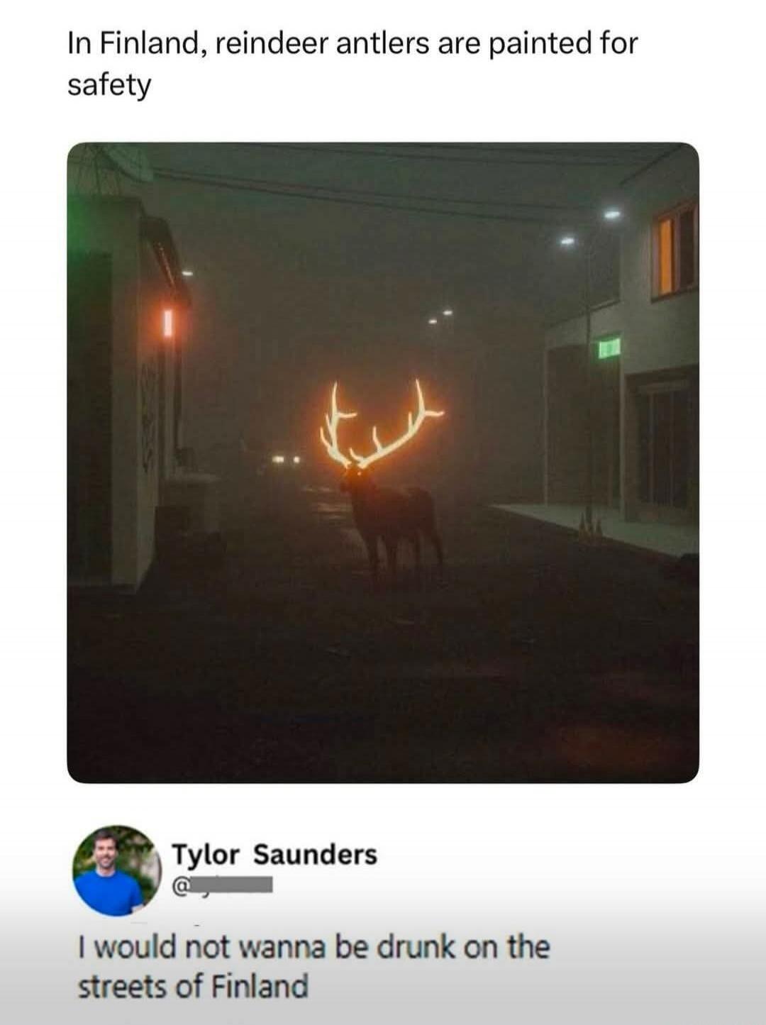 In Finland, reindeer antlers are painted for safety. I would not wanna be drunk on the streets of Finland.