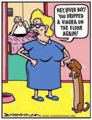 HEY, LOVER BOY! YOU DROPPED A VIAGRA ON THE FLOOR AGAIN!