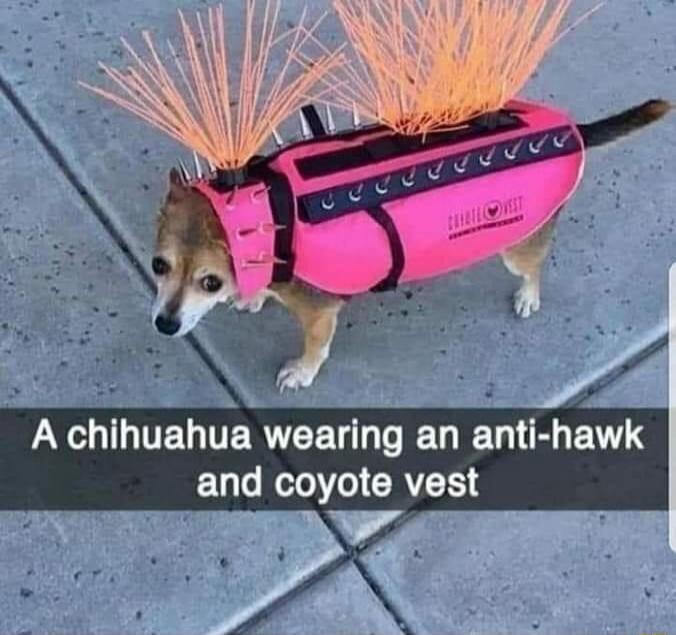 oL W YOI TVEGTERTEET T R U U VY UL HeTo CRVEES