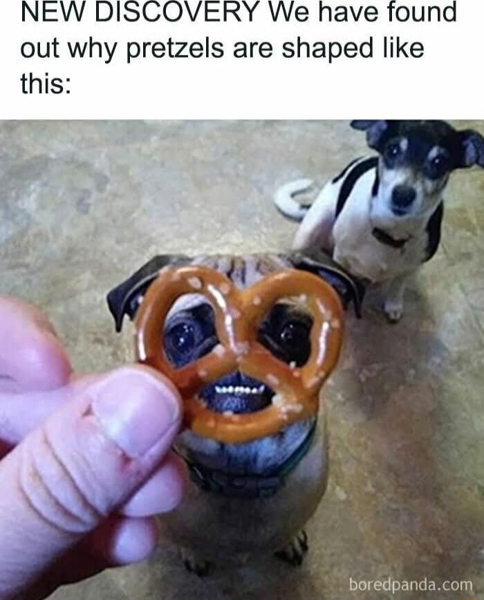NEW DISCOVERY We have found out why pretzels are shaped like this boredpandacom