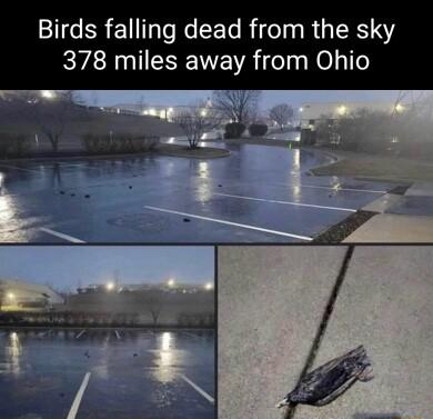 ing dead from the sky es away from Ohio