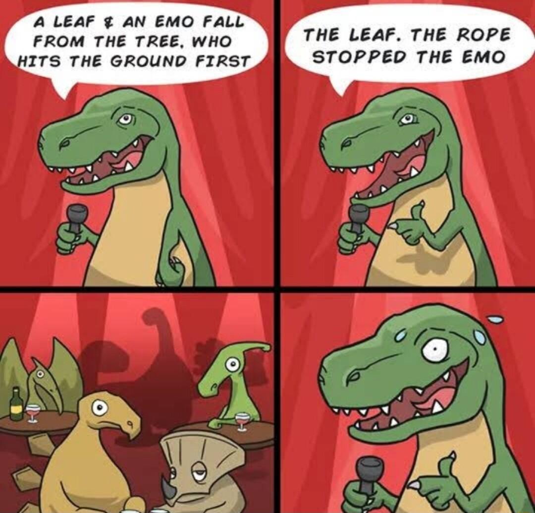 A LEAF AN EMO FALL FROM THE TREE WHO ITS THE GROUND FIRST THE LEAF THE ROPE STOPPED THE EMO