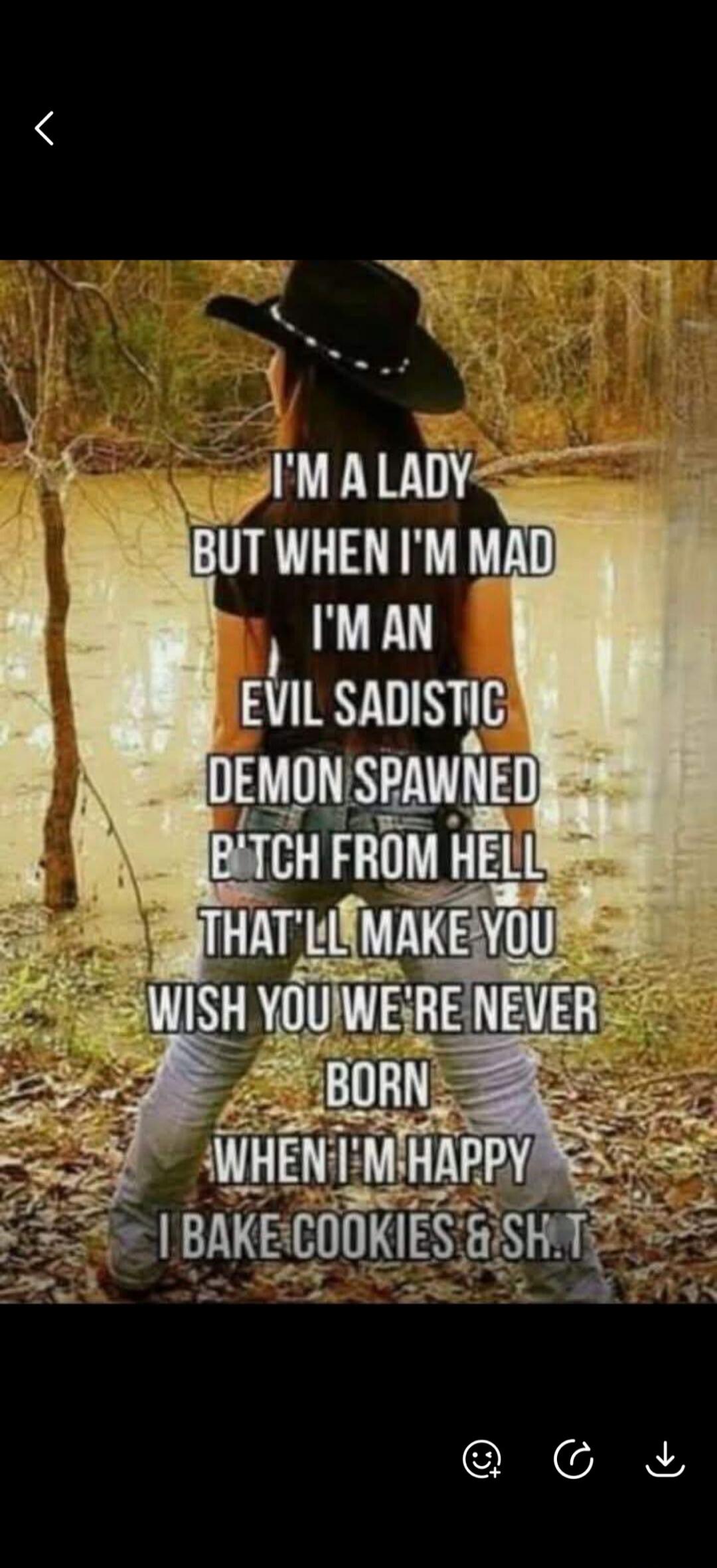 I'M A LADY BUT WHEN I'M MAD I'M AN EVIL SADISTIC DEMON SPAWNED B*TCH FROM HELL THAT'LL MAKE YOU WISH YOU WERE NEVER BORN WHEN I'M HAPPY I BAKE COOKIES & SH.T