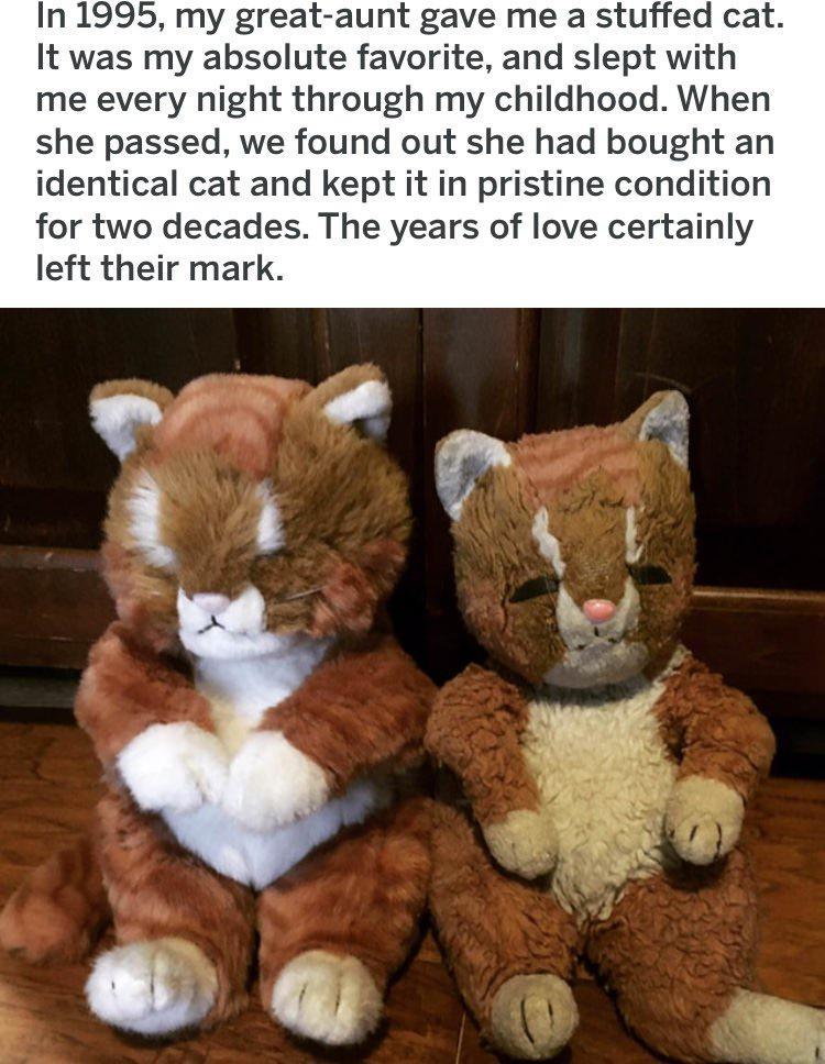 In 1995 my great aunt gave me a stuffed cat It was my absolute favorite and slept with me every night through my childhood When she passed we found out she had bought an identical cat and kept it in pristine condition for two decades The years of love certainly left their mark