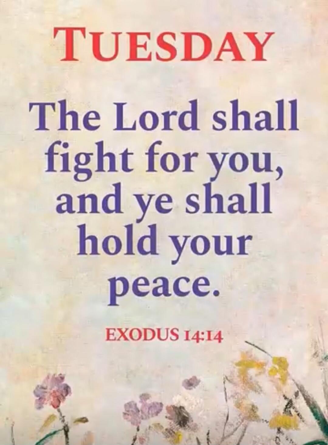 Tuesday
The Lord shall fight for you, and ye shall hold your peace.
EXODUS 14:14