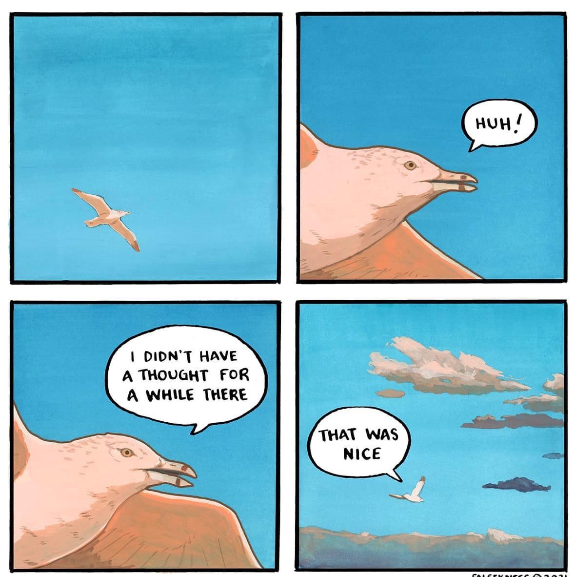 DIDNT HAVE A THOUGHT FOR A WHILE THERE