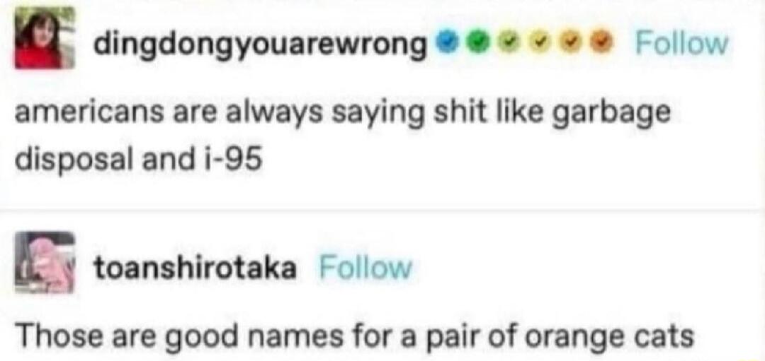 dingdongyouarewrong Follow americans are always saying shit like garbage disposal and i-95 toanshirotaka Follow Those are good names for a pair of orange cats