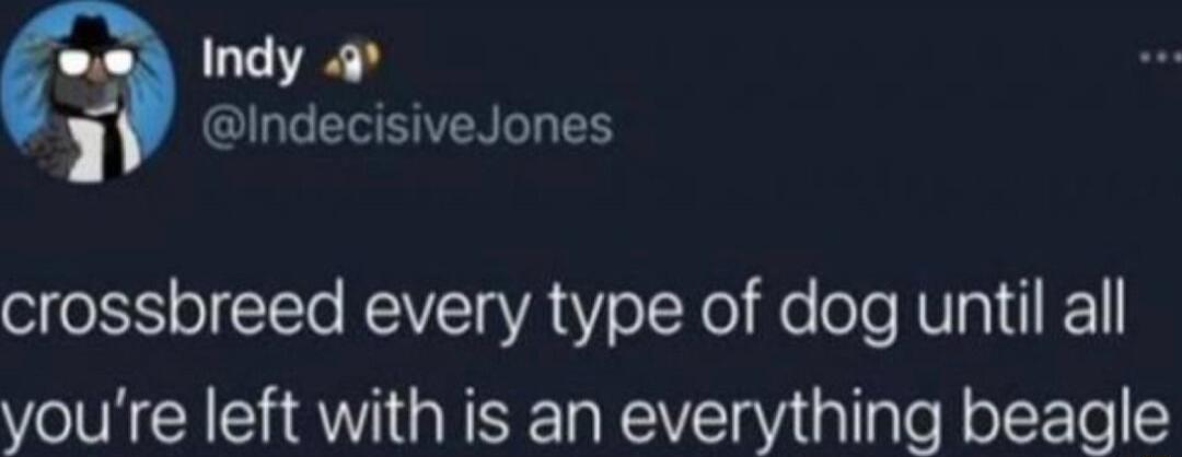 Indy 4 T EIEERT 1 crossbreed every type of dog until all youre left with is an everything beagle