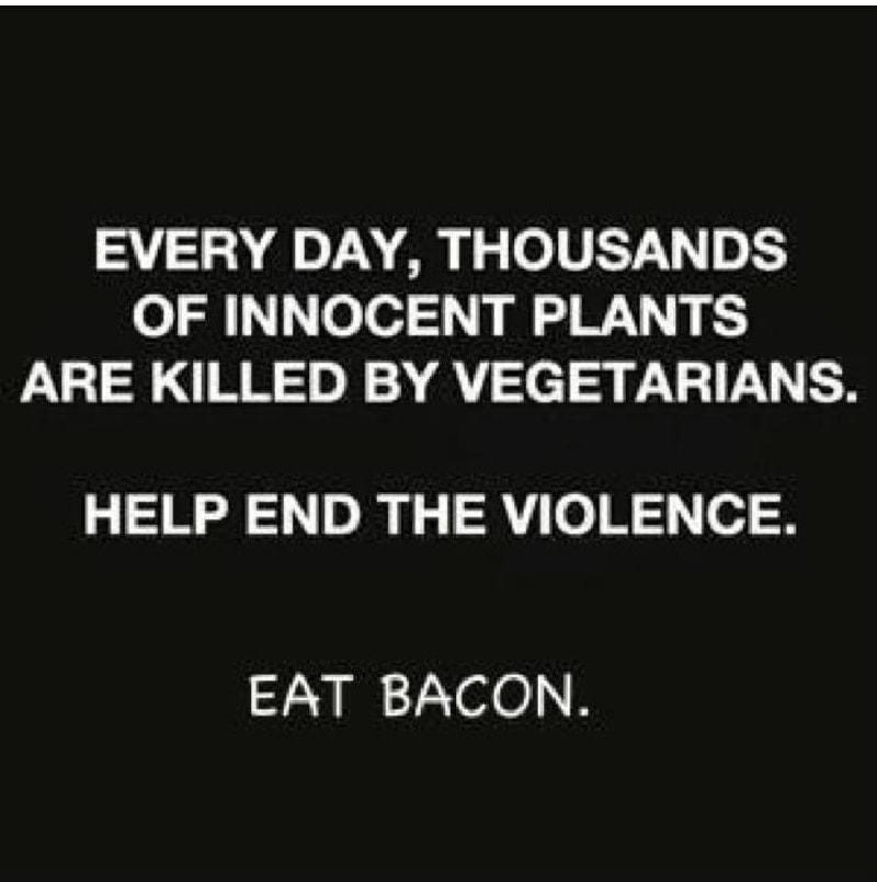 EVERY DAY THOUSANDS OF INNOCENT PLANTS ARE KILLED BY VEGETARIANS HELP END THE VIOLENCE EAT BACON