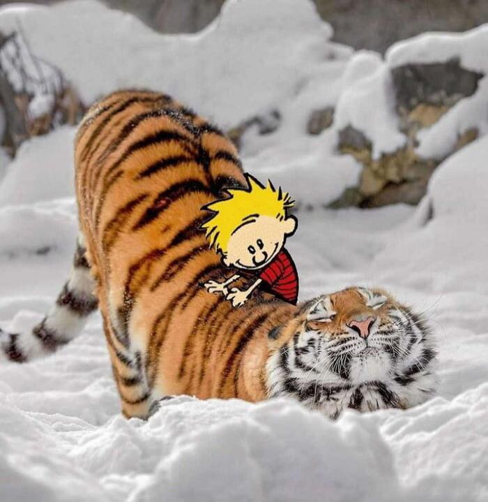 A cartoon child with blonde hair riding on a tiger in the snow.