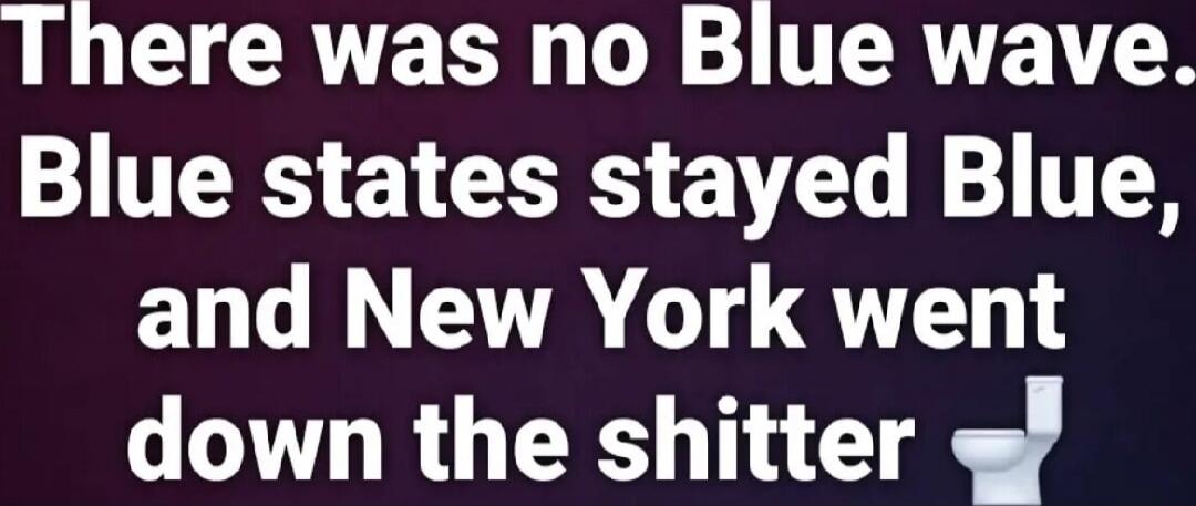 There was no Blue wave. Blue states stayed Blue, and New York went down the shitter 💩
Session ID: 996561.