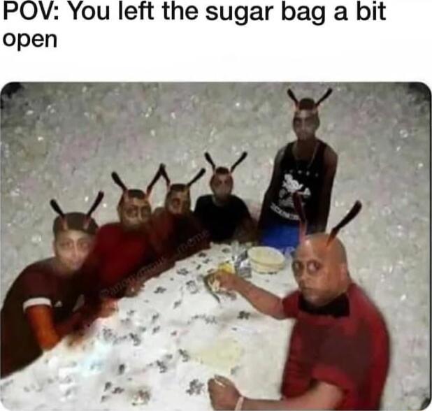 POV You left the sugar bag a bit open