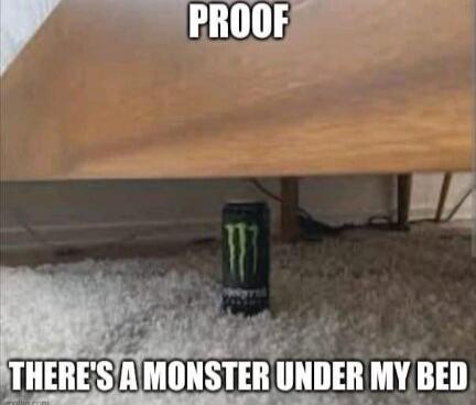 PROOF THERE'S A MONSTER UNDER MY BED