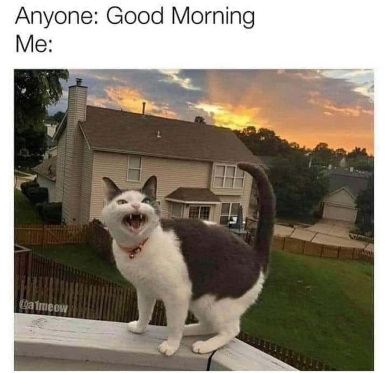 Anyone Good Morning Me