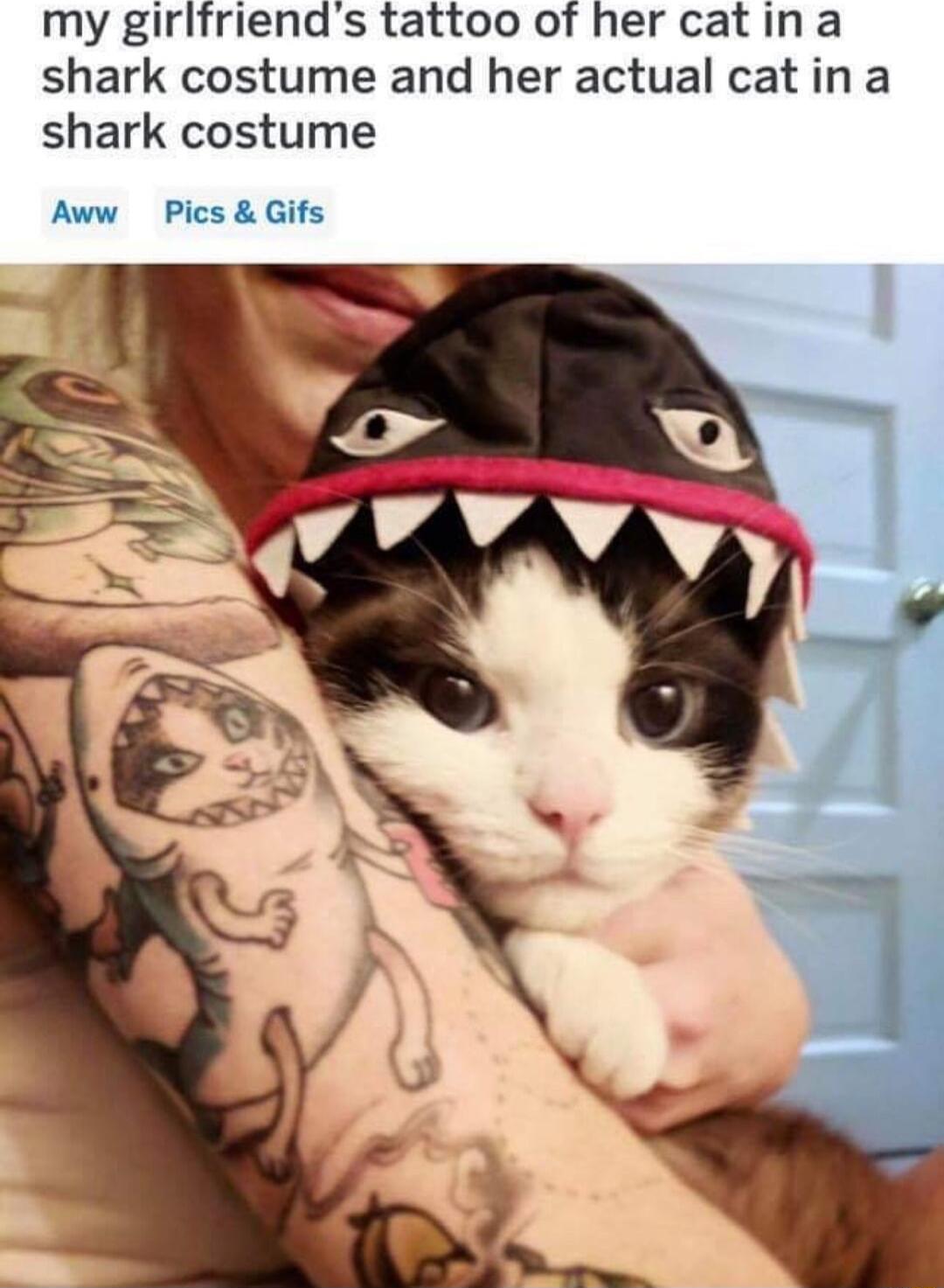 my girlfriends tattoo of her catina shark costume and her actual catina shark costume Aww Pics Gifs