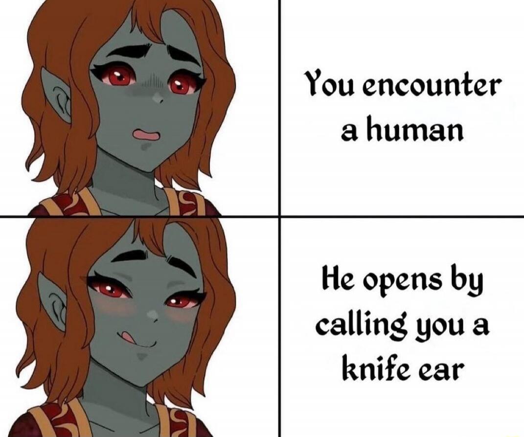 You encounter a human. He opens by calling you a knife ear.
