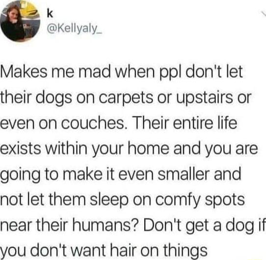 k Kellyaly_ Makes me mad when ppl dont let their dogs on carpets or upstairs or even on couches Their entire life exists within your home and you are going to make it even smaller and not let them sleep on comfy spots near their humans Dont get a dog if you dont want hair on things