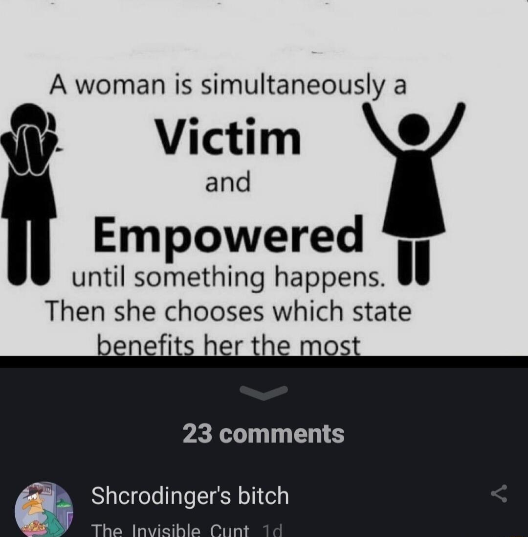 A woman is simultaneously a Victim U and Empowered 1 until something happens Then she chooses which state 23 comments Shcrodingers bitch