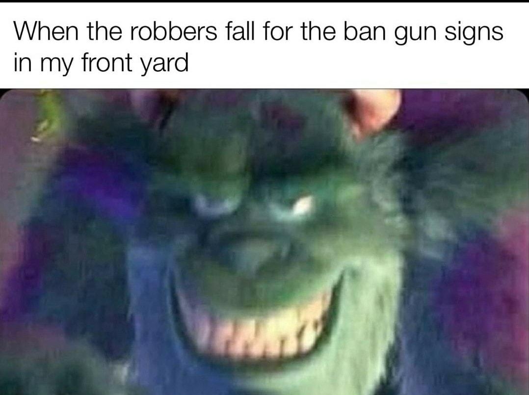 When the robbers fall fo n my front yard e ban gun signs o