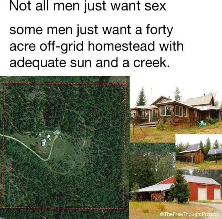 Not all men just want sex some men just want a forty acre off grid homestead with adequate sun and a creek