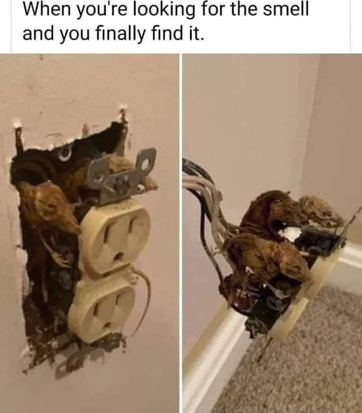 When youre looking for the smell and you finally find it