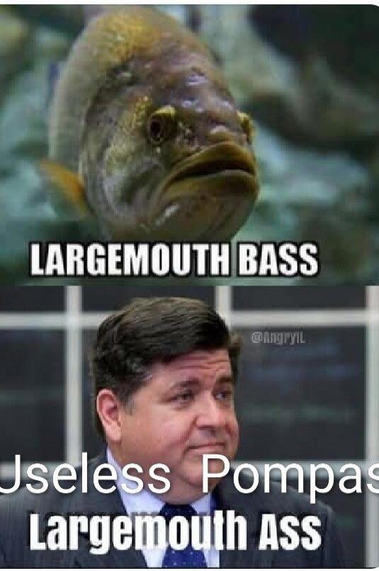LARGEMOUTH BASS Useless Pompas Largemouth Ass