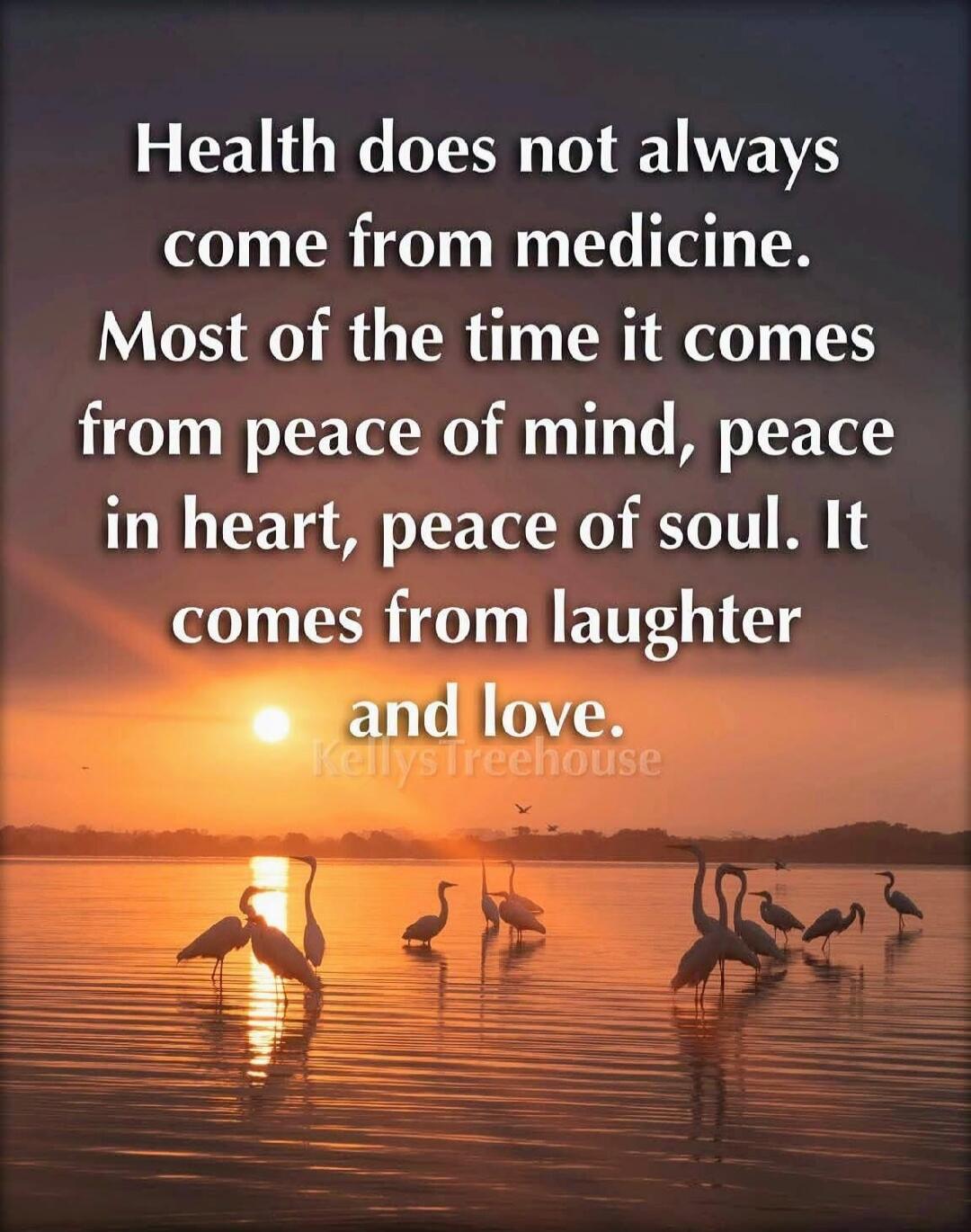 Health does not always come from medicine. Most of the time it comes from peace of mind, peace in heart, peace of soul. It comes from laughter and love. KellysTreehouse