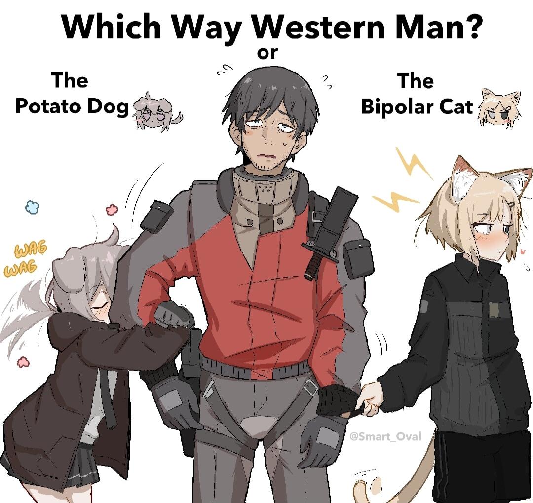 Which Way Western Man The f 7 The Potato Dog Qp