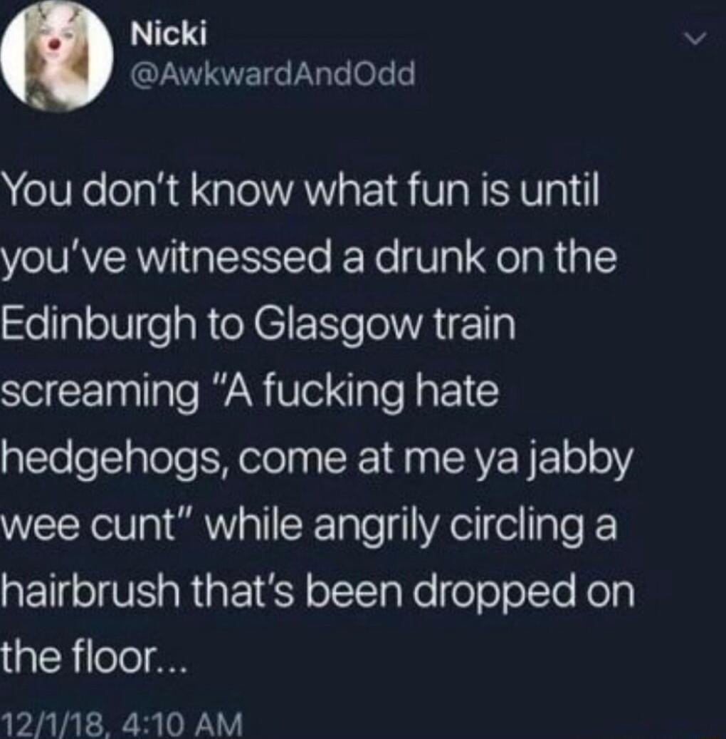 Nicki AwkwardAndOdd 3 You dont know what fun is until youve witnessed a drunk on the Edinburgh to Glasgow train screaming A fucking hate hedgehogs come at me ya jabby wee cunt while angrily circling a QEIfelVE R E Y olTg Yo o oolTe Rolp the floor 12118 410 AM